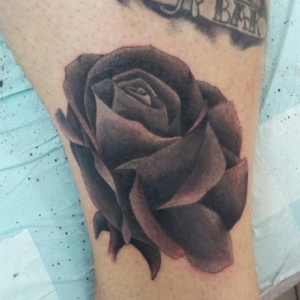 Rosa